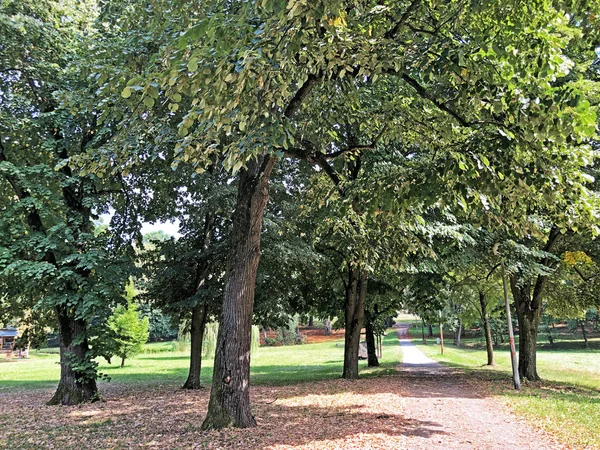 Parken Pejacevic Castle Eller Perivoj Dvorca Pejacevic Ili Nasicki Gradski — Stockfoto