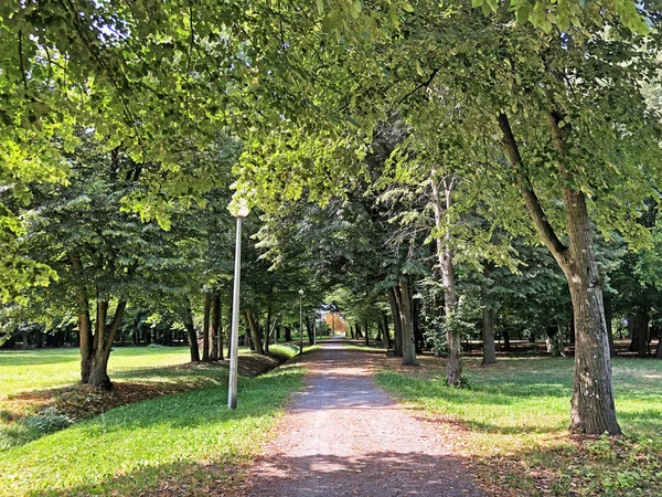 Park Pejacevic Zamek Lub Perivoj Dvorca Pejacevic Ili Nasicki Gradski — Zdjęcie stockowe