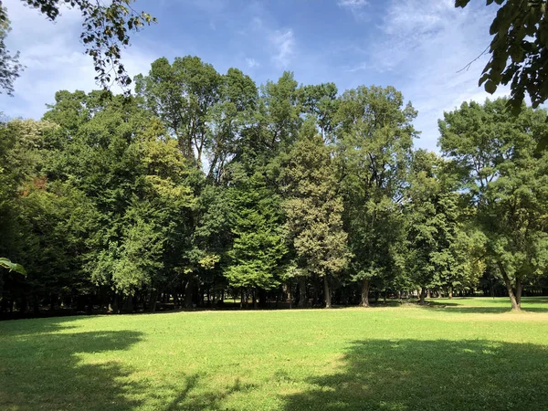 Pejacevic Kalesi veya Perivoj dvorca Pejacevic ili Nasicki gradski park Parkı - Nasice, Hırvatistan