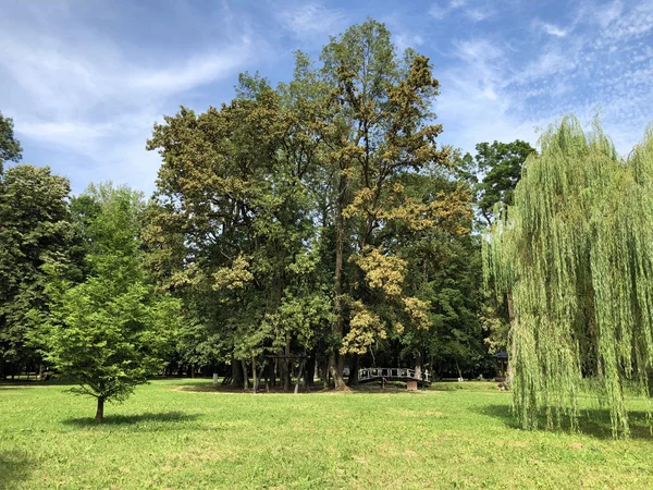 Pejacevic Kalesi veya Perivoj dvorca Pejacevic ili Nasicki gradski park Parkı - Nasice, Hırvatistan