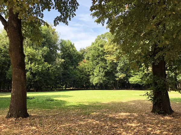 Pejacevic Kalesi veya Perivoj dvorca Pejacevic ili Nasicki gradski park Parkı - Nasice, Hırvatistan