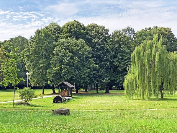 Pejacevic Kalesi veya Perivoj dvorca Pejacevic ili Nasicki gradski park Parkı - Nasice, Hırvatistan