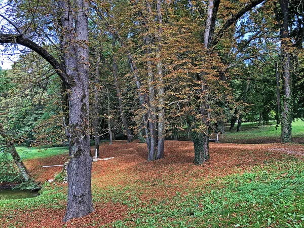 Pejacevic Kalesi veya Perivoj dvorca Pejacevic ili Nasicki gradski park Parkı - Nasice, Hırvatistan