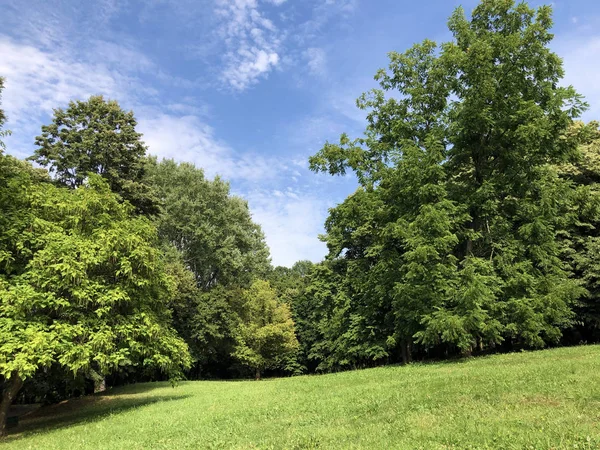 Pejacevic Kalesi veya Perivoj dvorca Pejacevic ili Nasicki gradski park Parkı - Nasice, Hırvatistan