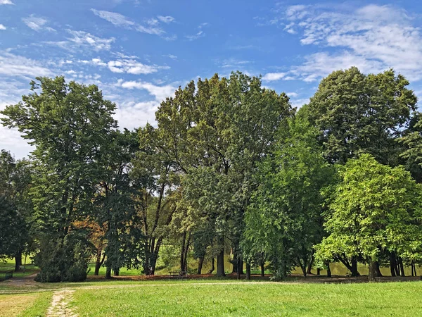 Pejacevic Kalesi veya Perivoj dvorca Pejacevic ili Nasicki gradski park Parkı - Nasice, Hırvatistan