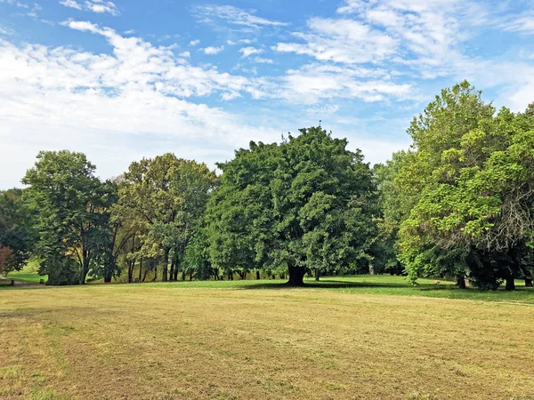 Pejacevic Kalesi veya Perivoj dvorca Pejacevic ili Nasicki gradski park Parkı - Nasice, Hırvatistan