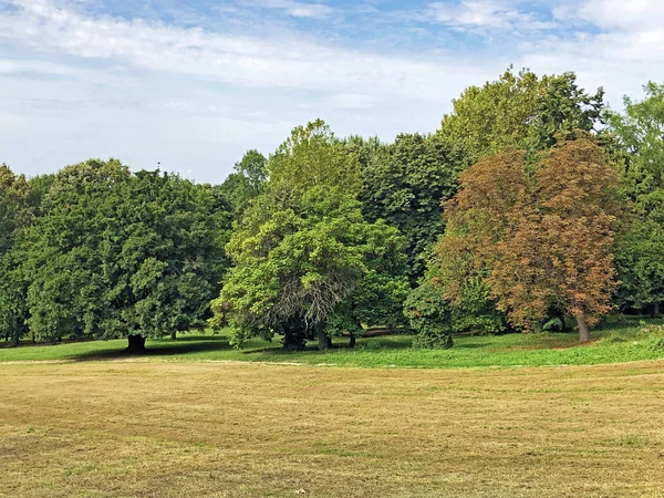 Pejacevic Kalesi veya Perivoj dvorca Pejacevic ili Nasicki gradski park Parkı - Nasice, Hırvatistan