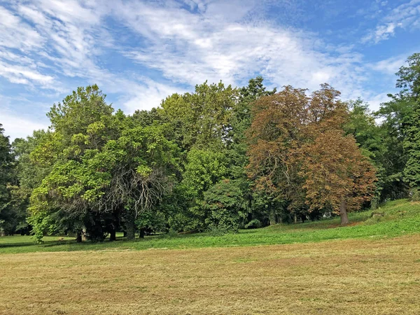 Pejacevic Kalesi veya Perivoj dvorca Pejacevic ili Nasicki gradski park Parkı - Nasice, Hırvatistan