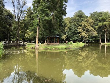 Pejacevic kale veya Umjetno jezero (ribnjak) u perivoju dvorca Pejaceviç parkında yapay göl (gölet) - Nasice, Hırvatistan