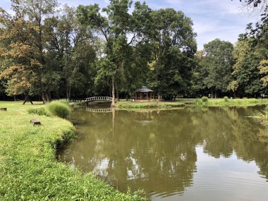 Pejacevic kale veya Umjetno jezero (ribnjak) u perivoju dvorca Pejaceviç parkında yapay göl (gölet) - Nasice, Hırvatistan