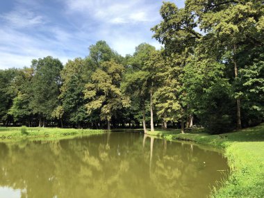 Pejacevic kale veya Umjetno jezero (ribnjak) u perivoju dvorca Pejaceviç parkında yapay göl (gölet) - Nasice, Hırvatistan