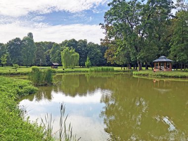 Pejacevic kale veya Umjetno jezero (ribnjak) u perivoju dvorca Pejaceviç parkında yapay göl (gölet) - Nasice, Hırvatistan