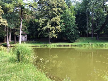 Pejacevic kale veya Umjetno jezero (ribnjak) u perivoju dvorca Pejaceviç parkında yapay göl (gölet) - Nasice, Hırvatistan