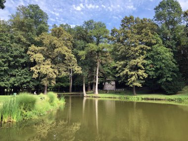 Pejacevic kale veya Umjetno jezero (ribnjak) u perivoju dvorca Pejaceviç parkında yapay göl (gölet) - Nasice, Hırvatistan