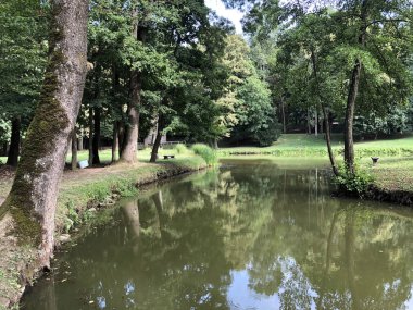 Pejacevic kale veya Umjetno jezero (ribnjak) u perivoju dvorca Pejaceviç parkında yapay göl (gölet) - Nasice, Hırvatistan