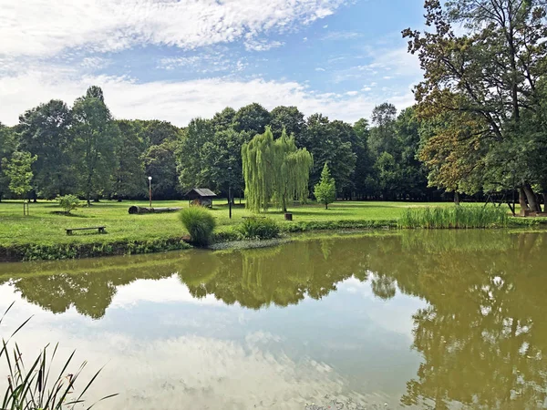 Umělé Jezero Rybníček Parku Pejacevic Castle Nebo Umjetno Jezero Ribnjak — Stock fotografie