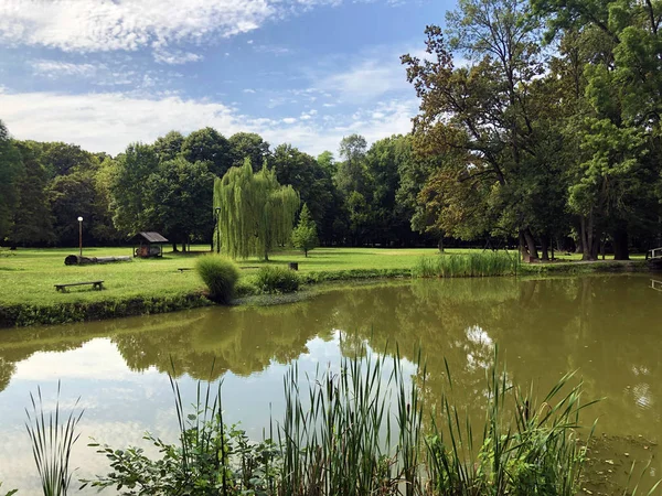 Kunstmatig Meer Vijver Het Park Van Het Kasteel Van Pejacevic — Stockfoto