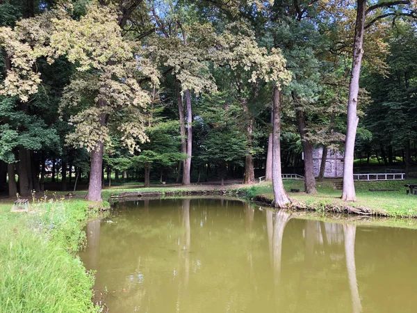 Artificial Lake Pond Park Pejacevic Castle Umjetno Jezero Ribnjak Perivoju — Stock Photo, Image