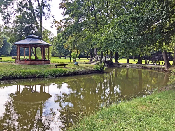 Artificial Lake Pond Park Pejacevic Castle Umjetno Jezero Ribnjak Perivoju — Stock Photo, Image