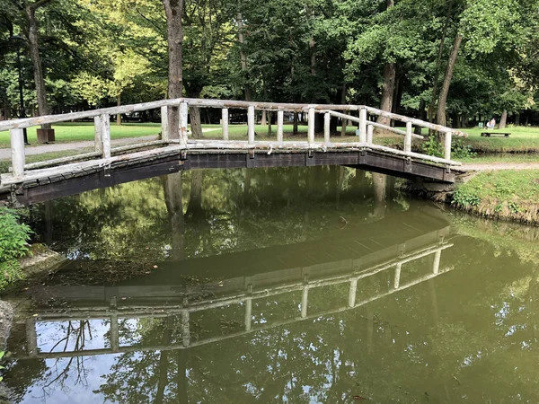 Lago Artificiale Stagno Nel Parco Del Castello Pejacevic Umjetno Jezero — Foto Stock