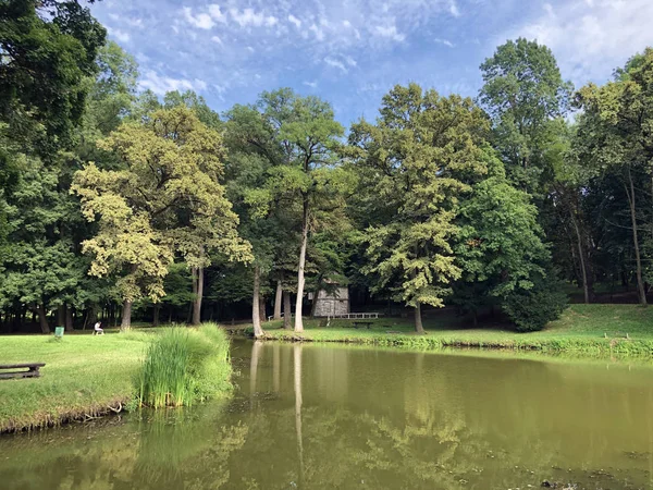 Artificial Lake Pond Park Pejacevic Castle Umjetno Jezero Ribnjak Perivoju — Stock Photo, Image