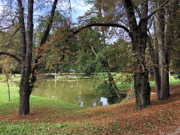 Künstlicher See Teich Park Des Schlosses Pejacevic Oder Umjetno Jezero — Stockfoto