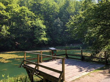 Sayar iz veya Poucna Grofova staza - Papuk doğa parkı, Hırvatistan