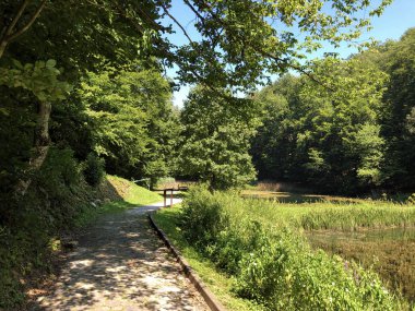 Sayar iz veya Poucna Grofova staza - Papuk doğa parkı, Hırvatistan