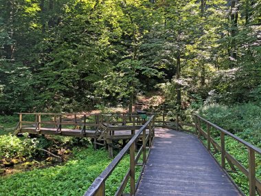 Sayar iz veya Poucna Grofova staza - Papuk doğa parkı, Hırvatistan