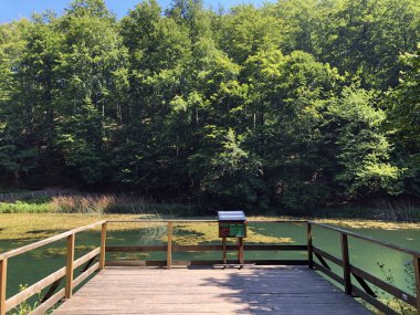 Sayar iz veya Poucna Grofova staza - Papuk doğa parkı, Hırvatistan