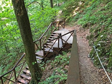 Sayar iz veya Poucna Grofova staza - Papuk doğa parkı, Hırvatistan