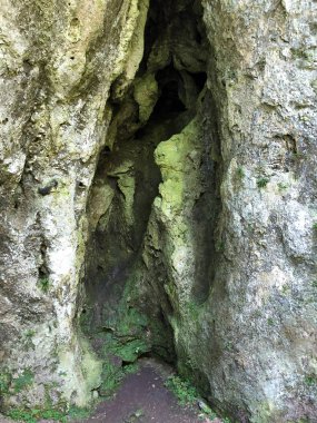 Sayar iz veya Poucna Grofova staza - Papuk doğa parkı, Hırvatistan