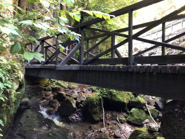 Sayar iz veya Poucna Grofova staza - Papuk doğa parkı, Hırvatistan