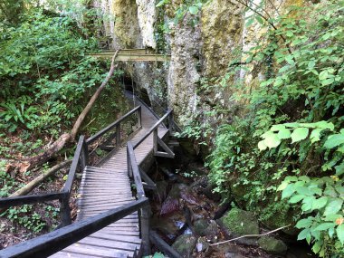 Sayar iz veya Poucna Grofova staza - Papuk doğa parkı, Hırvatistan