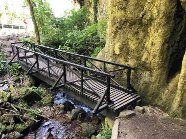 Sayar iz veya Poucna Grofova staza - Papuk doğa parkı, Hırvatistan