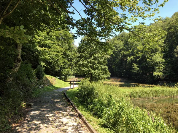Sayar iz veya Poucna Grofova staza - Papuk doğa parkı, Hırvatistan