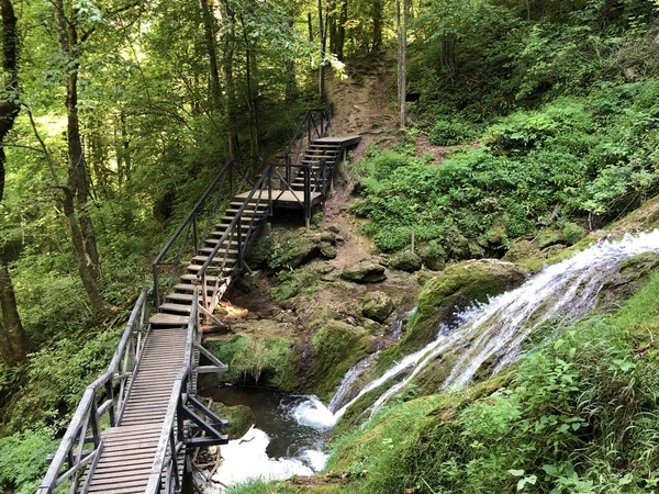 Counts trail or Poucna Grofova staza - Papuk nature park, Croatia