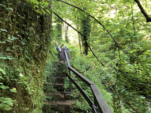 Counts Trail Poucna Grofova Staza Papuk Nature Park Croatia — Stock Photo, Image