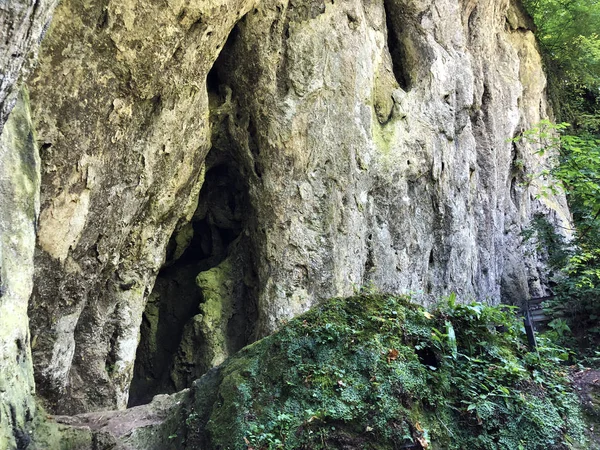 Graven Trail Poucna Grofova Staza Papuk Natuurpark Kroatië — Stockfoto