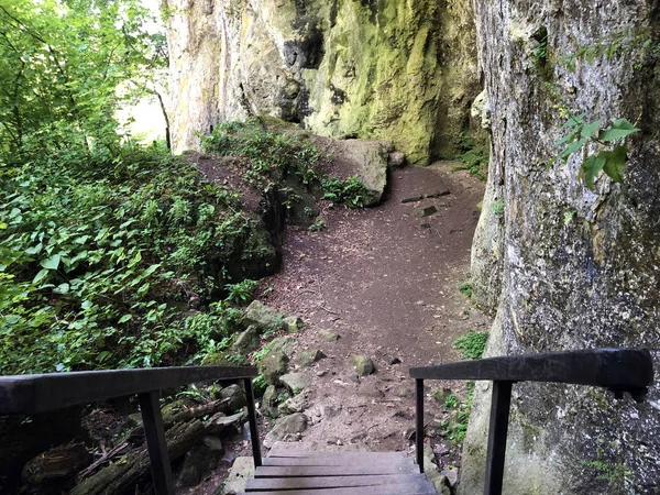 Counts Trail Poucna Grofova Staza Papuk Nature Park Croatia — Stock Photo, Image