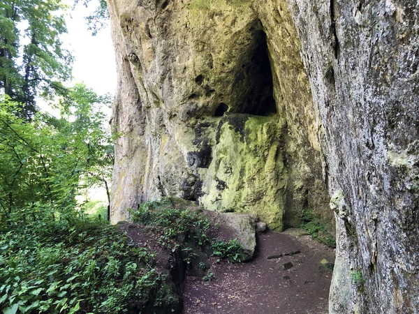 Graven Trail Poucna Grofova Staza Papuk Natuurpark Kroatië — Stockfoto