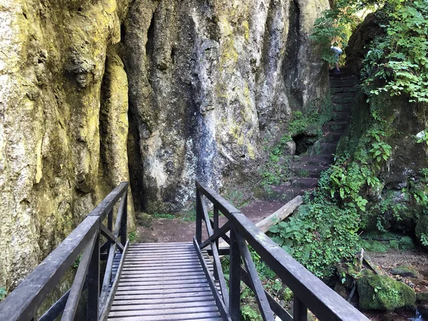 Contagens Trilha Poucna Grofova Staza Parque Natural Papuk Croácia — Fotografia de Stock