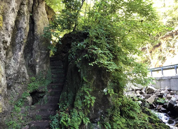 Cuenta Con Rastro Poucna Grofova Staza Parque Natural Papuk Croacia — Foto de Stock