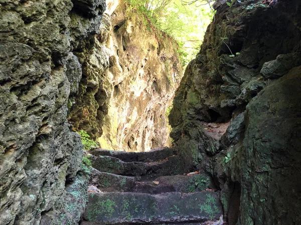 Cuenta Con Rastro Poucna Grofova Staza Parque Natural Papuk Croacia — Foto de Stock