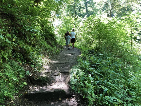 Szlak Liczy Lub Poucna Grofova Staza Papuk Nature Park Chorwacja — Zdjęcie stockowe