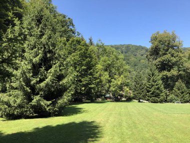 Park orman Jankovac veya Park suma Jankovac - Papuk doğa parkı, Hırvatistan