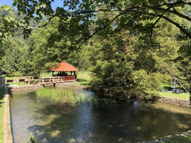 Bir Park orman Jankovac veya Umjetna jezera u Park sumi Jankovac yapay göller - Papuk doğa parkı, Hırvatistan