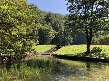 Bir Park orman Jankovac veya Umjetna jezera u Park sumi Jankovac yapay göller - Papuk doğa parkı, Hırvatistan
