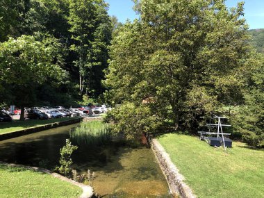 Bir Park orman Jankovac veya Umjetna jezera u Park sumi Jankovac yapay göller - Papuk doğa parkı, Hırvatistan