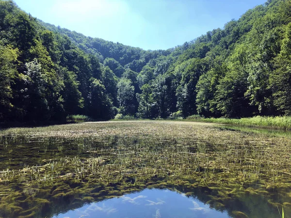 Umělá Jezera Lese Parku Jankovac Nebo Umjetna Jezera Park Sumi — Stock fotografie